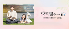 束の間の一花｜日本テレビ